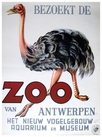 Antwerp Zoo Black Ornate Wood Framed Art Print with Double Matting by Vintage Apple Collection