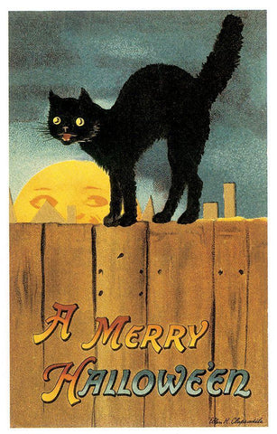 Fence Cat.tif White Modern Wood Framed Art Print with Double Matting by Vintage Apple Collection
