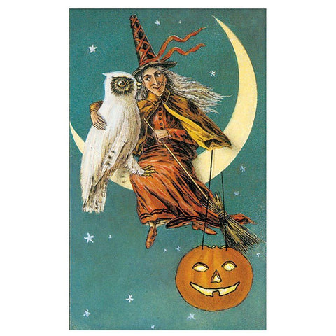 Witch Owl.tif Black Modern Wood Framed Art Print with Double Matting by Vintage Apple Collection