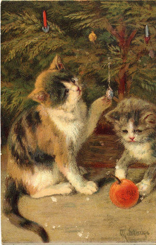 Kitty Cats White Modern Wood Framed Art Print with Double Matting by Vintage Apple Collection