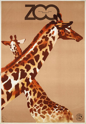 Giraffe Zoo Poland White Modern Wood Framed Art Print with Double Matting by Vintage Apple Collection