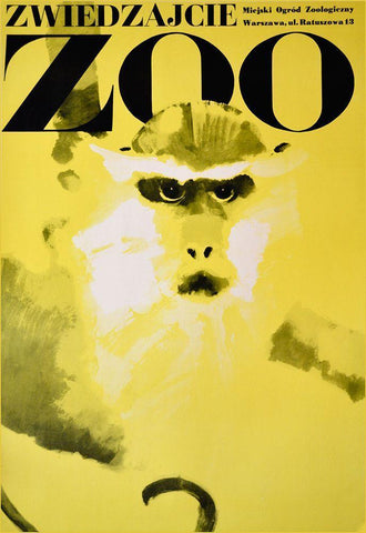 Monkey-Zoo White Modern Wood Framed Art Print with Double Matting by Vintage Apple Collection