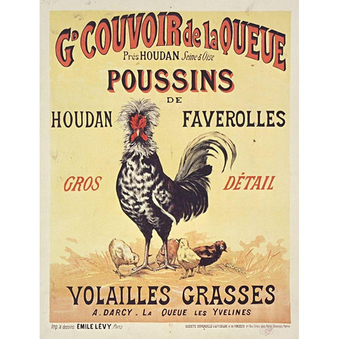 Poussins White Modern Wood Framed Art Print by Vintage Apple Collection