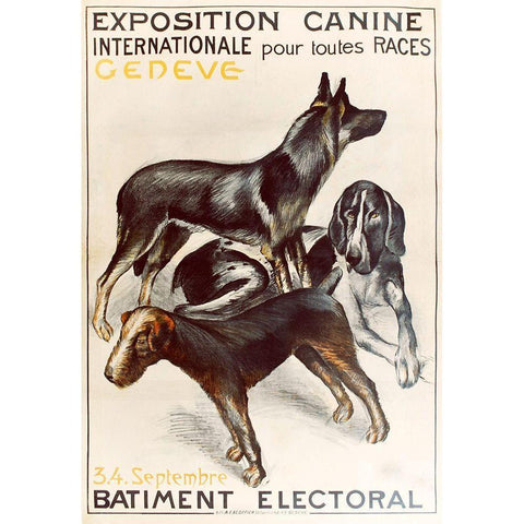 Exposition Canine Geneva Black Modern Wood Framed Art Print with Double Matting by Vintage Apple Collection