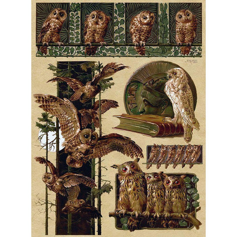 Owls Gold Ornate Wood Framed Art Print with Double Matting by Vintage Apple Collection