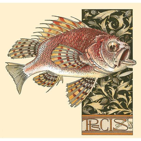 Seder Fish Gold Ornate Wood Framed Art Print with Double Matting by Vintage Apple Collection