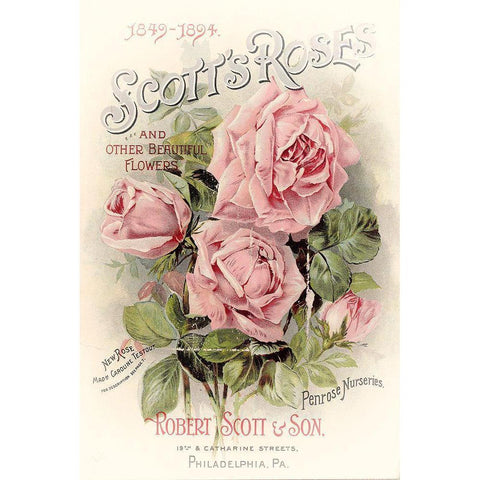 Scotts Roses Gold Ornate Wood Framed Art Print with Double Matting by Vintage Apple Collection