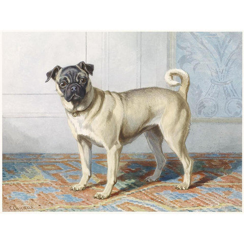 Edwin Vom Rath Pug Gold Ornate Wood Framed Art Print with Double Matting by Vintage Apple Collection