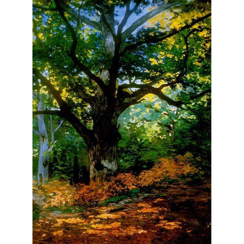 bodmer oak fountainbleau forest White Modern Wood Framed Art Print by Vintage Apple Collection