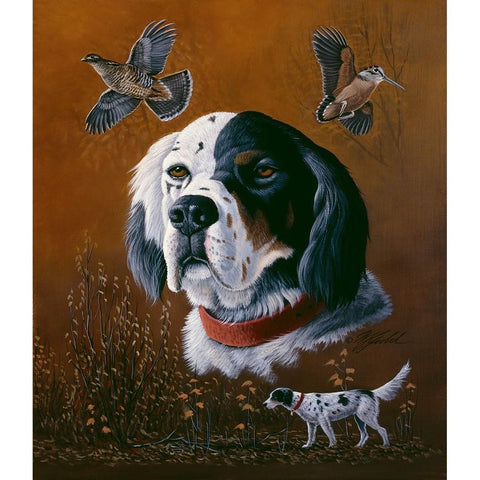 English Setter Black Modern Wood Framed Art Print with Double Matting by Goebel, Wilhelm