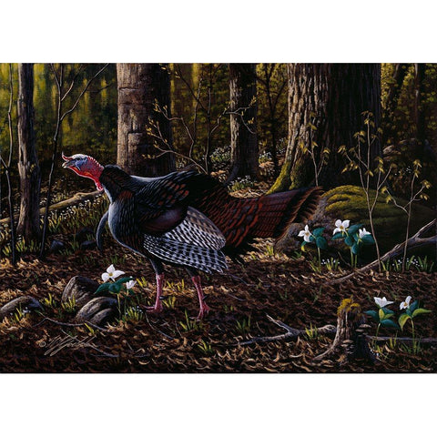 Hillside Gobbler Black Modern Wood Framed Art Print by Goebel, Wilhelm