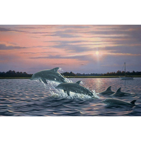 Dolphins Black Modern Wood Framed Art Print with Double Matting by Goebel, Wilhelm