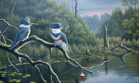 Fishermans Luck, Belted Kingfishers Black Ornate Wood Framed Art Print with Double Matting by Goebel, Wilhelm