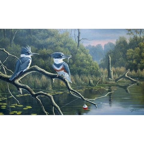 Fishermans Luck, Belted Kingfishers Black Modern Wood Framed Art Print with Double Matting by Goebel, Wilhelm