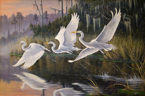Morning Departure Egrets Black Ornate Wood Framed Art Print with Double Matting by Goebel, Wilhelm