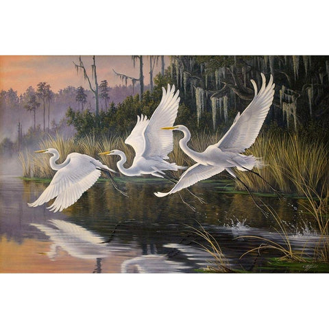 Morning Departure Egrets Black Modern Wood Framed Art Print with Double Matting by Goebel, Wilhelm