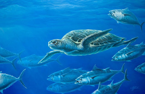 Sea Turtle White Modern Wood Framed Art Print with Double Matting by Goebel, Wilhelm