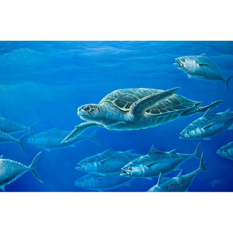 Sea Turtle White Modern Wood Framed Art Print by Goebel, Wilhelm
