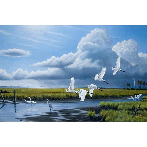 Summer Storm Egrets Black Modern Wood Framed Art Print with Double Matting by Goebel, Wilhelm