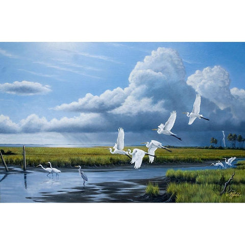 Summer Storm Egrets Black Modern Wood Framed Art Print by Goebel, Wilhelm