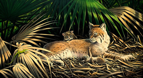 Sunny Spot Bobcat with Kittens White Modern Wood Framed Art Print with Double Matting by Goebel, Wilhelm