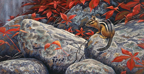 Autumn Playground - Eastern Chipmunk White Modern Wood Framed Art Print with Double Matting by Goebel, Wilhelm