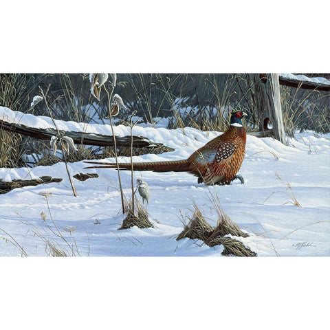 Fenceline Strut Gold Ornate Wood Framed Art Print with Double Matting by Goebel, Wilhelm