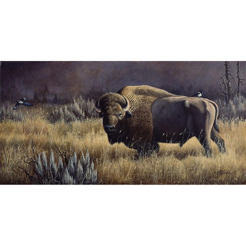 Bison And Magpies White Modern Wood Framed Art Print by Goebel, Wilhelm