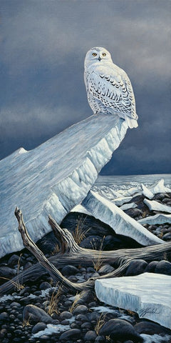 Lakeshore Ice Black Ornate Wood Framed Art Print with Double Matting by Goebel, Wilhelm