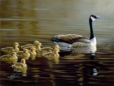 Leading The Way White Modern Wood Framed Art Print with Double Matting by Goebel, Wilhelm