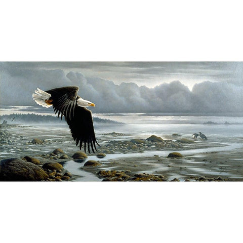 Lowtide - Bald Eagle Gold Ornate Wood Framed Art Print with Double Matting by Goebel, Wilhelm