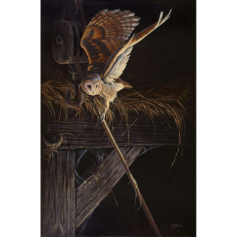 Tight Rope Barn Owl White Modern Wood Framed Art Print by Goebel, Wilhelm