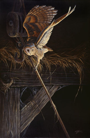 Tight Rope Barn Owl White Modern Wood Framed Art Print with Double Matting by Goebel, Wilhelm