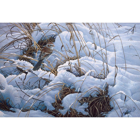 Snow Glow Field Sparrows Gold Ornate Wood Framed Art Print with Double Matting by Goebel, Wilhelm