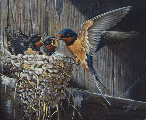 Country Living  - Barn Swallows White Modern Wood Framed Art Print with Double Matting by Goebel, Wilhelm