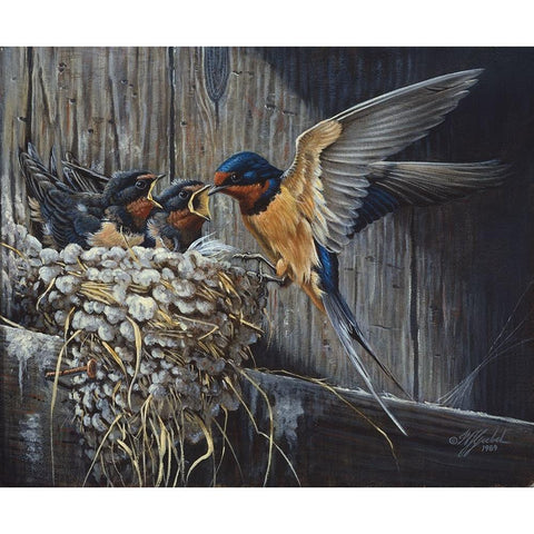 Country Living  - Barn Swallows Black Modern Wood Framed Art Print by Goebel, Wilhelm