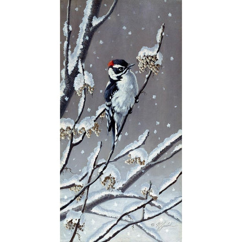 Winter Berries Black Modern Wood Framed Art Print by Goebel, Wilhelm