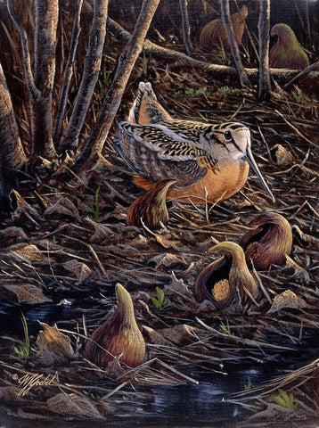 Return To Spring White Modern Wood Framed Art Print with Double Matting by Goebel, Wilhelm