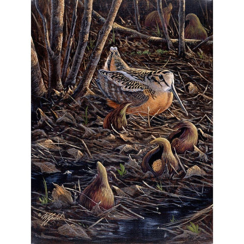 Return To Spring White Modern Wood Framed Art Print by Goebel, Wilhelm