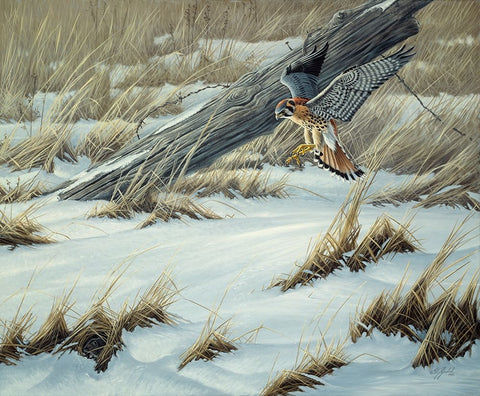 Hit Or Miss Black Ornate Wood Framed Art Print with Double Matting by Goebel, Wilhelm