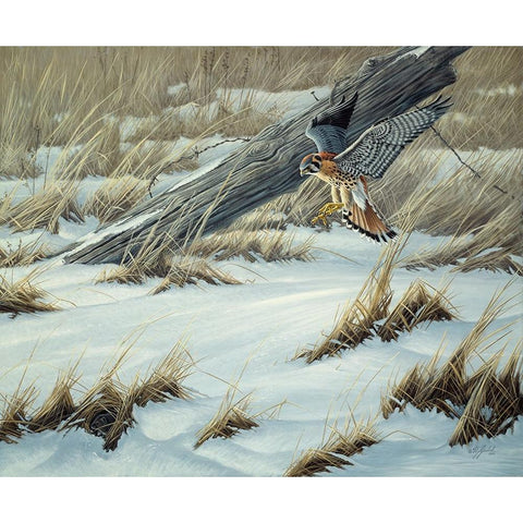 Hit Or Miss Gold Ornate Wood Framed Art Print with Double Matting by Goebel, Wilhelm