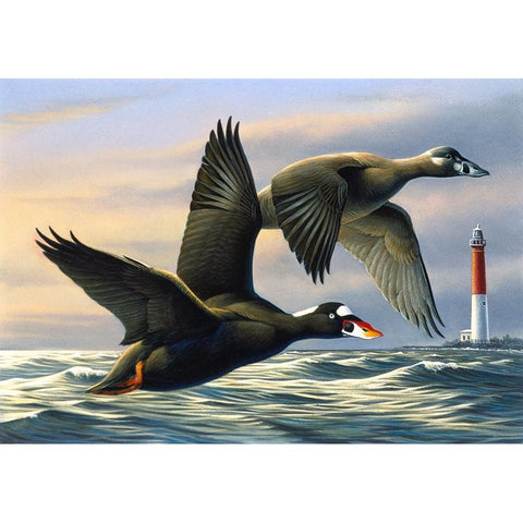 Surf Scooters Black Modern Wood Framed Art Print with Double Matting by Goebel, Wilhelm