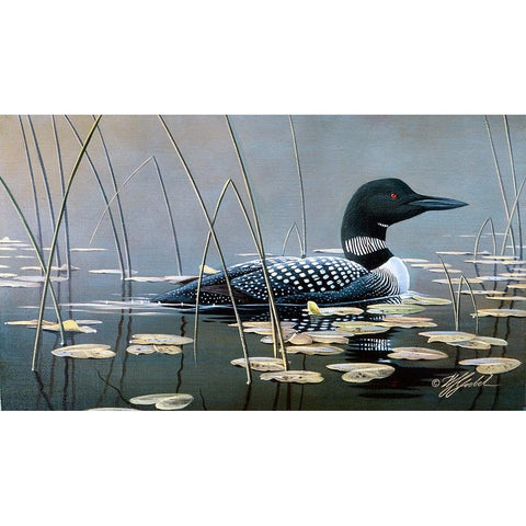 Loon In Reeds Black Modern Wood Framed Art Print with Double Matting by Goebel, Wilhelm