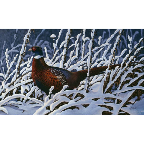 Fresh Snow - Ringneck Pheasant Gold Ornate Wood Framed Art Print with Double Matting by Goebel, Wilhelm