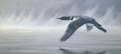 Misty Flight White Modern Wood Framed Art Print with Double Matting by Goebel, Wilhelm