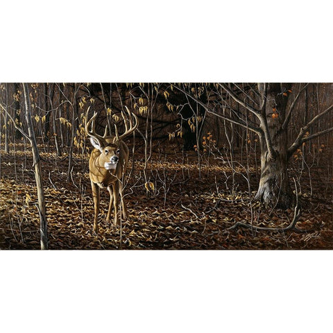 Sneaking Through - Whitetail Black Modern Wood Framed Art Print with Double Matting by Goebel, Wilhelm