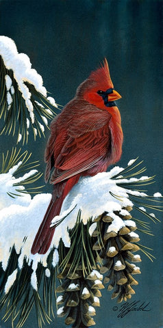 Winter Cardinal Black Ornate Wood Framed Art Print with Double Matting by Goebel, Wilhelm