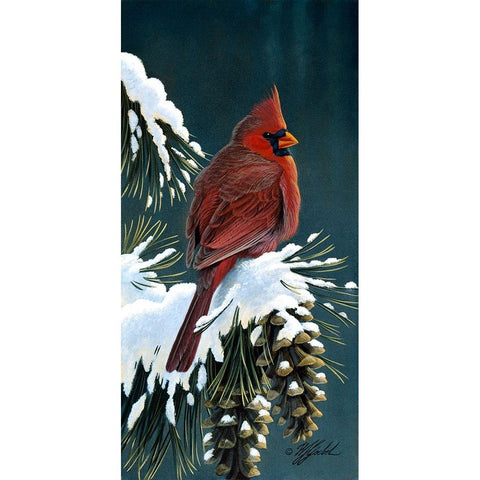 Winter Cardinal White Modern Wood Framed Art Print by Goebel, Wilhelm