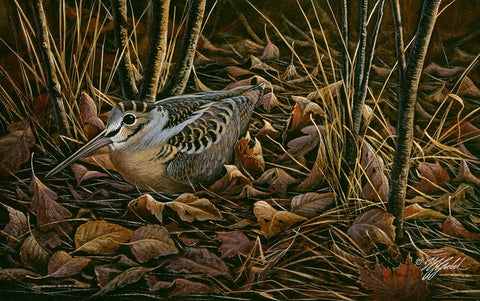 Woodcock Among The Leaves White Modern Wood Framed Art Print with Double Matting by Goebel, Wilhelm