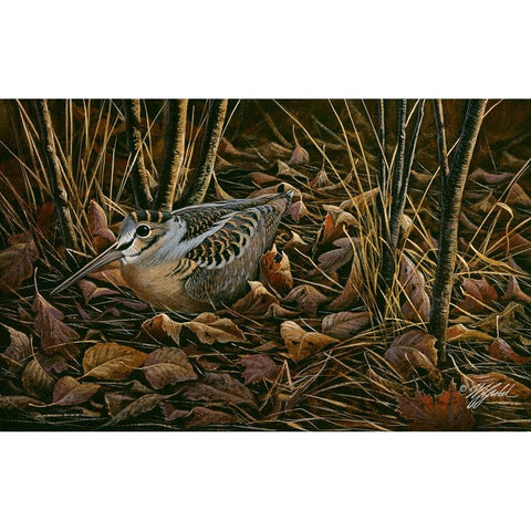 Woodcock Among The Leaves White Modern Wood Framed Art Print by Goebel, Wilhelm